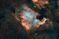 NGC7000 - North American Nebula